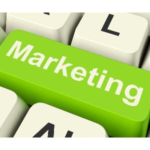 ADDETTO AI SERVIZI DI MARKETING TELEMATICO